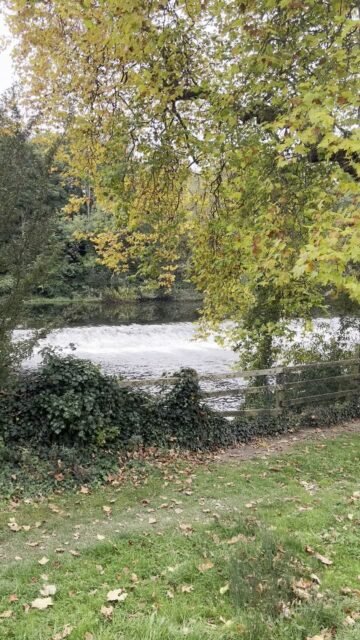 Your Moment of Zen. 
Your Moment of Spiel. 
#YourMomentOfZen #YourMomentOfSpiel #Kilkenny #RiverNore #Ireland #Zen #Autumn #MindfulMoments #DiscoverKilkenny #DiscoverIreland