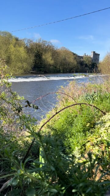 Your Moment of Zen
Your Moment of Spiel
#RiverNore #KilkennyCastle #Kilkenny #Ireland #Zen #River #MomentOfZen #MindfulMoments #DiscoverKilkenny #YourMomentOfZen #YourMomentOfSpiel