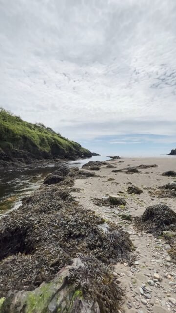 Your Moment of Zen
Your Moment of Spiel
#YourMomentOfZen #YourMomentOfSpiel #StradballyCove #CountyWaterford #Ireland #RiverTay #Zen #Beach #MindfulMoments #DiscoverIreland
