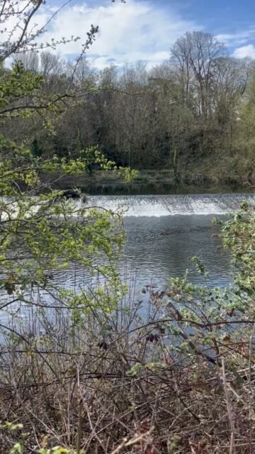 Your Moment of Zen
Your Moment of Spiel
#YourMomentOfZen #YourMomentOfSpiel #RiverNore #Kilkenny #Ireland #Zen #River #SongBirds #MindfulMoments #DiscoverIreland