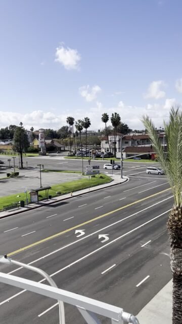 Your Moment of Christmas
Your Moment of Spiel
#YourMomentOfChristmas #YourMomentOfSpiel #Christmas #Xmas #BuenaPark #California #UnitedStates #PalmTrees #BlowinInTheWind #ToGrandmothersHouseWeGo