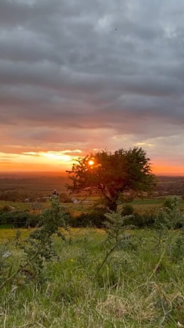 Your Moment of Zen
Your Moment of Spiel
#YourMomentOfZen #YourMomentOfSpiel #CountyWestmeath #HillOfUisneach #Uisneach #Ireland #SacredCentreOfIreland #Zen #Sunset #Solstice #SummerSolstice #LongestDayOfTheYear #Ériu #Goddess #GoddessÉriu #Enya #TheMemoryOfTree Uisneach