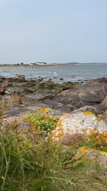 Your Moment of Zen
Your Moment of Spiel
#YourMomentOfZen #YourMomentOfSpiel #ChurchtownBeach #Churchtown #Carne #CountyWexford #Ireland #CelticSea #AlwaysWindy #Windy #Zen #Beach #MindfulMoments #DiscoverIreland