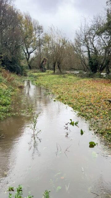 Your Moment of Zen
Your Moment of Spiel
#YourMomentOfZen #YourMomentOfSpiel #RiverKings #Kells #Kilkenny #CountyKilkenny #Ireland  #MindfulMoments #DiscoverKilkenny #DiscoverIreland #ASMR