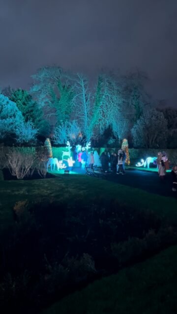 Your Moment of Christmas
Your Moment of Spiel
#YourMomentOfChristmas #YourMomentOfSpiel #Kilkenny #KilkennyCastle #KilkennyYuleFest #YulefestRoseGardenLightUp #Ireland #Christmas #Xmas #JazzyChristmas 
Yulefest Kilkenny 
@kilkennyyulefest