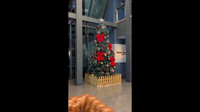 Your Moment of Christmas
Your Moment of Spiel
#YourMomentOfChristmas #YourMomentOfSpiel #Carlow #CountyLaois #Ireland #Christmas #Xmas #ChristmasTree #XmasTree #ChristmasLights #XmasLights 
@talbot_hotel_carlow