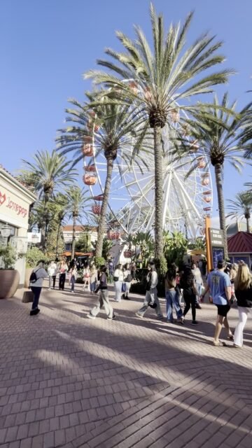 Your Moment of Holidays
Your Moment of Spiel
#Holidays #Irvine #California #UnitedStates #PalmTrees #Spectrum #FerrisWheel #ChristmasTree #XmasTree #YourMomentOfHolidays #YourMomentOfSpiel
