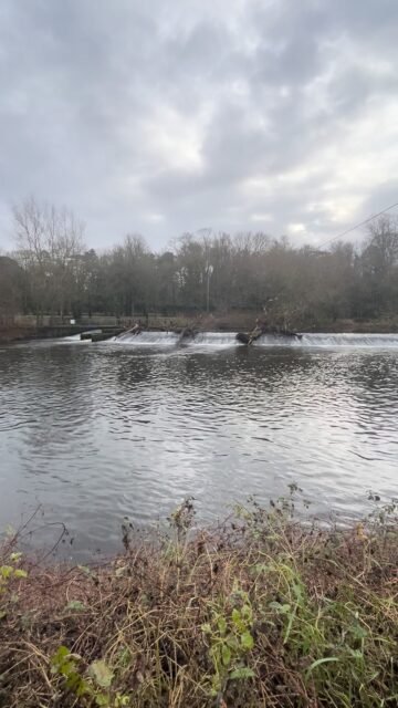 Your Moment of Zen
Your Moment of Spiel
#YourMomentOfZen #YourMomentOfSpiel #RiverNore #River #Nore #Kilkenny #Ireland #Zen #MindfulMoments #DiscoverKilkenny