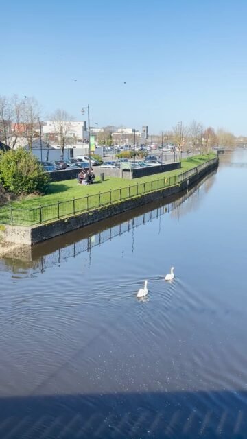 Your Moment of Zen
Your Moment of Spiel
#RiverNore #Kilkenny #Ireland #Zen #BlueSky #River #MindfulMoments #DiscoverKilkenny #YourMomentOfZen #YourMomentOfSpiel